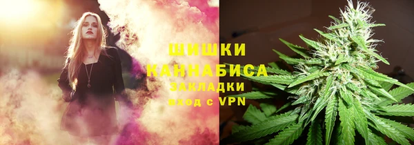 таблы Бородино