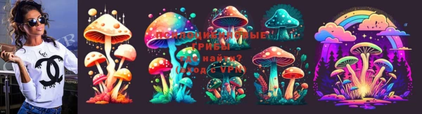 дмт Бронницы