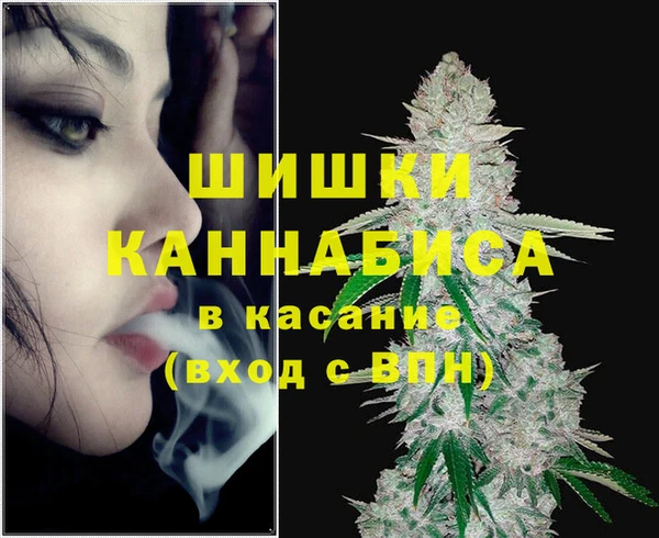 дмт Бронницы