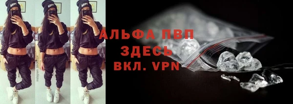таблы Бородино