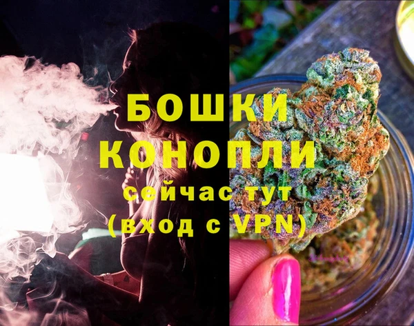 таблы Бородино