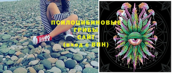 таблы Бородино